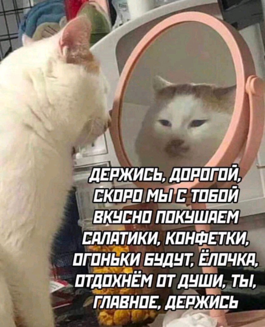 announcement
